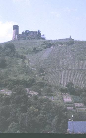 Mosel River valey (photo courtesy of Fred Horky)