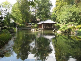 Japanese Garden